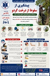 با شروع فصل برداشت گردو؛ پیشگیری از سقوط و آسیب‌های نخاعی را جدی بگیریم